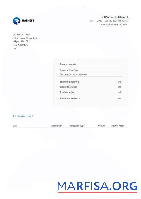 Downloadable Nigeria Raenest account statement word example